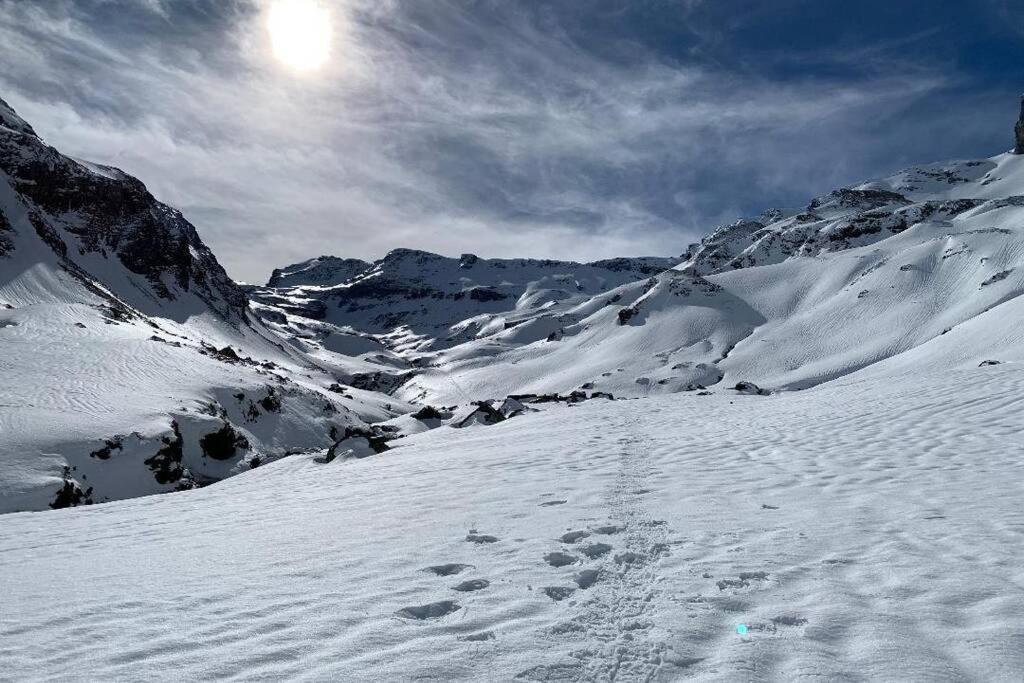 Studio Cabine Piau-Engaly Au Pied Des Pistes Aragnouet Εξωτερικό φωτογραφία